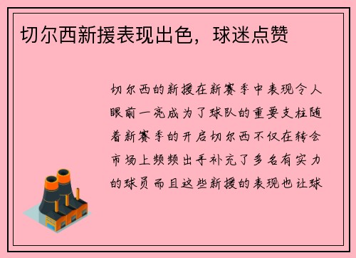 切尔西新援表现出色，球迷点赞